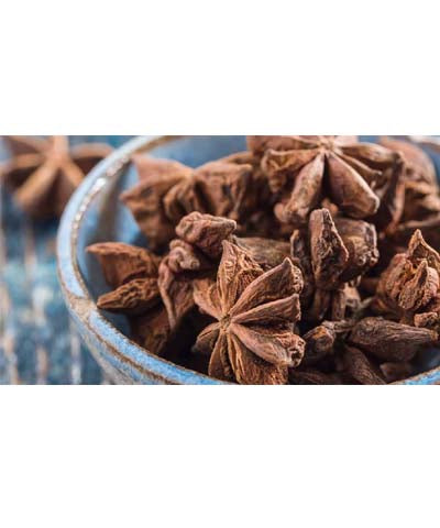 Star Anise پھول بادیان