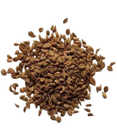 Carom Seed اجوائن