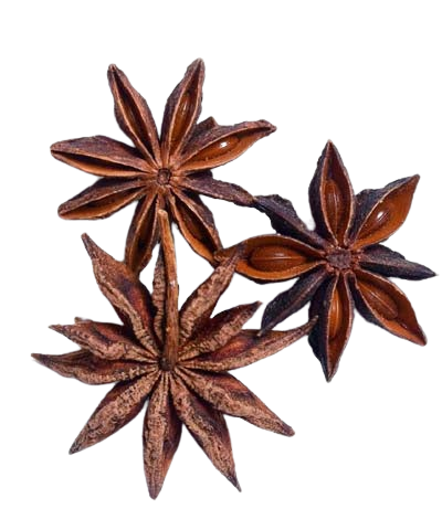 Star Anise پھول بادیان