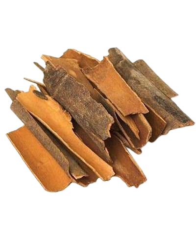 Cinnamon دار چینی