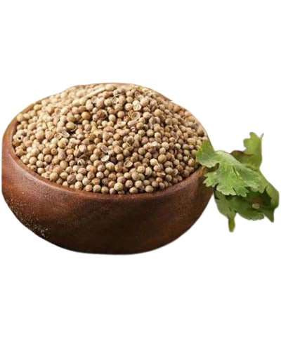 Coriander whole ثابت دھنیا