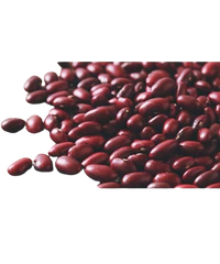 Red Kidney Beans لال لوبیا