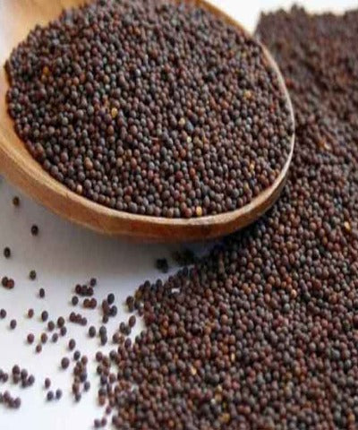 Rai Dana (Mustard Seeds)